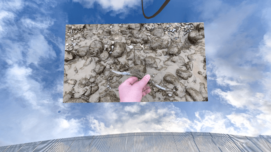 A screenshot taken inside the virtual exhibition environment. A video of the
object being discovered is projected onto a 360° photo of the thames
foreshore.