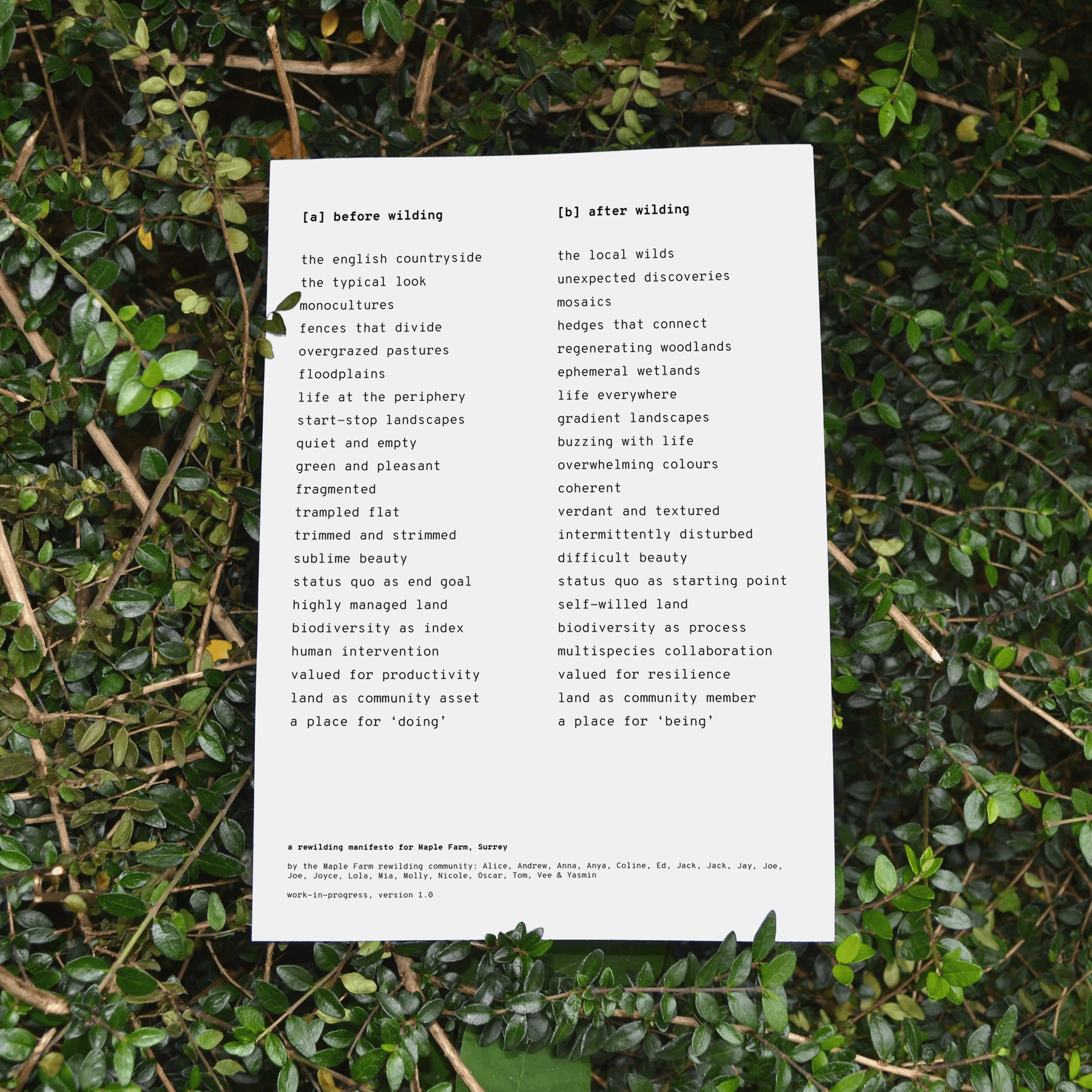 An A/B rewilding manifesto.