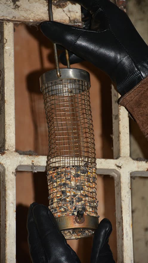 A birdfeeder loaded with genetically modified wildflower
seeds.