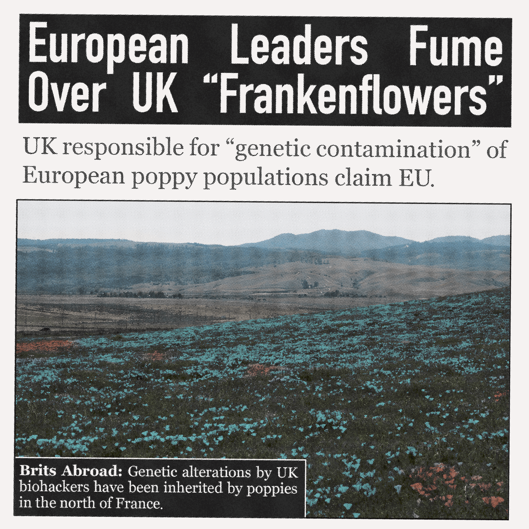 A fictional tabloid article showing biosensing poppies in northern France.
The headline reads: 'European Leaders Fume Over UK
Frakenflowers'.