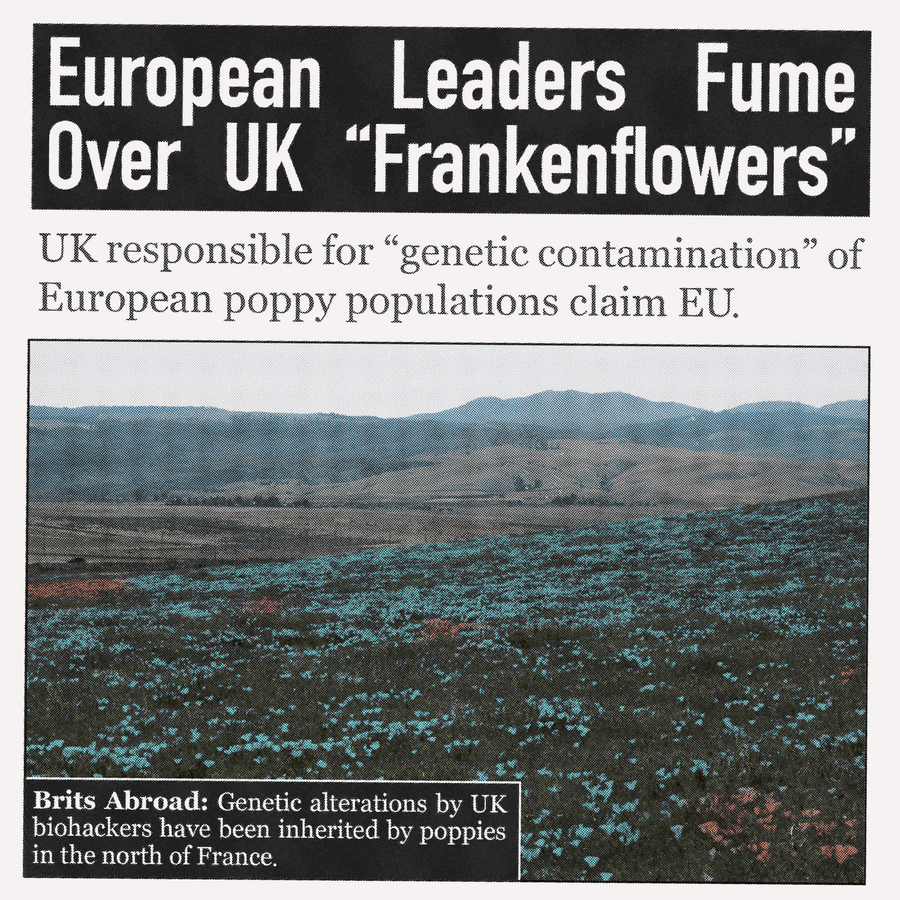 A fictional tabloid article showing biosensing poppies in northern France.
The headline reads: 'European Leaders Fume Over UK
Frakenflowers'.