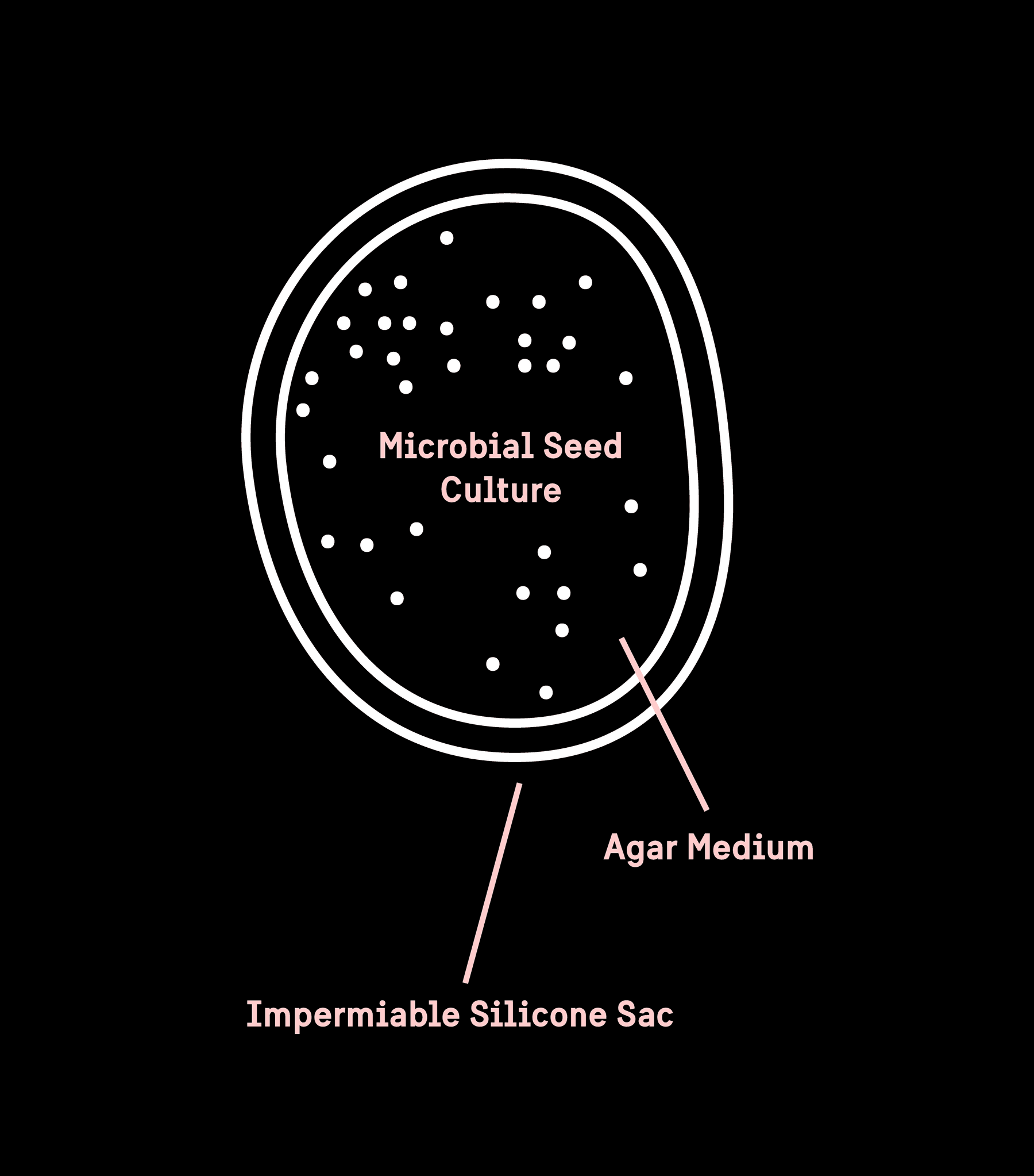 A diagram of a subdermal storage bead.