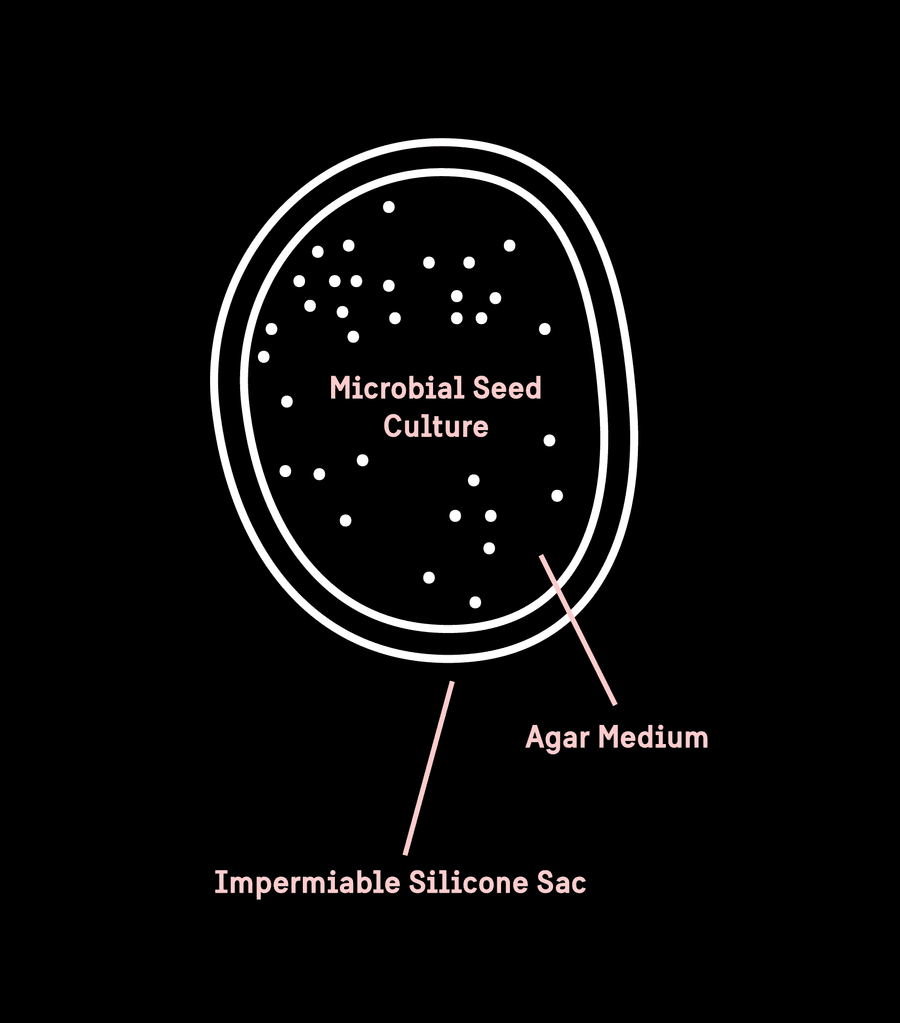 A diagram of a subdermal storage bead.