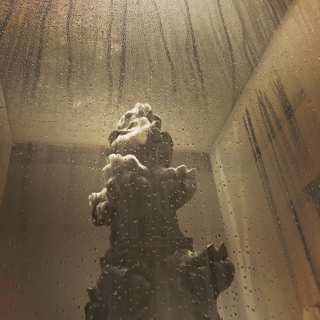 The top of gothic pinnacle, which is covered in mycellium, seen through fogged-up perspex.