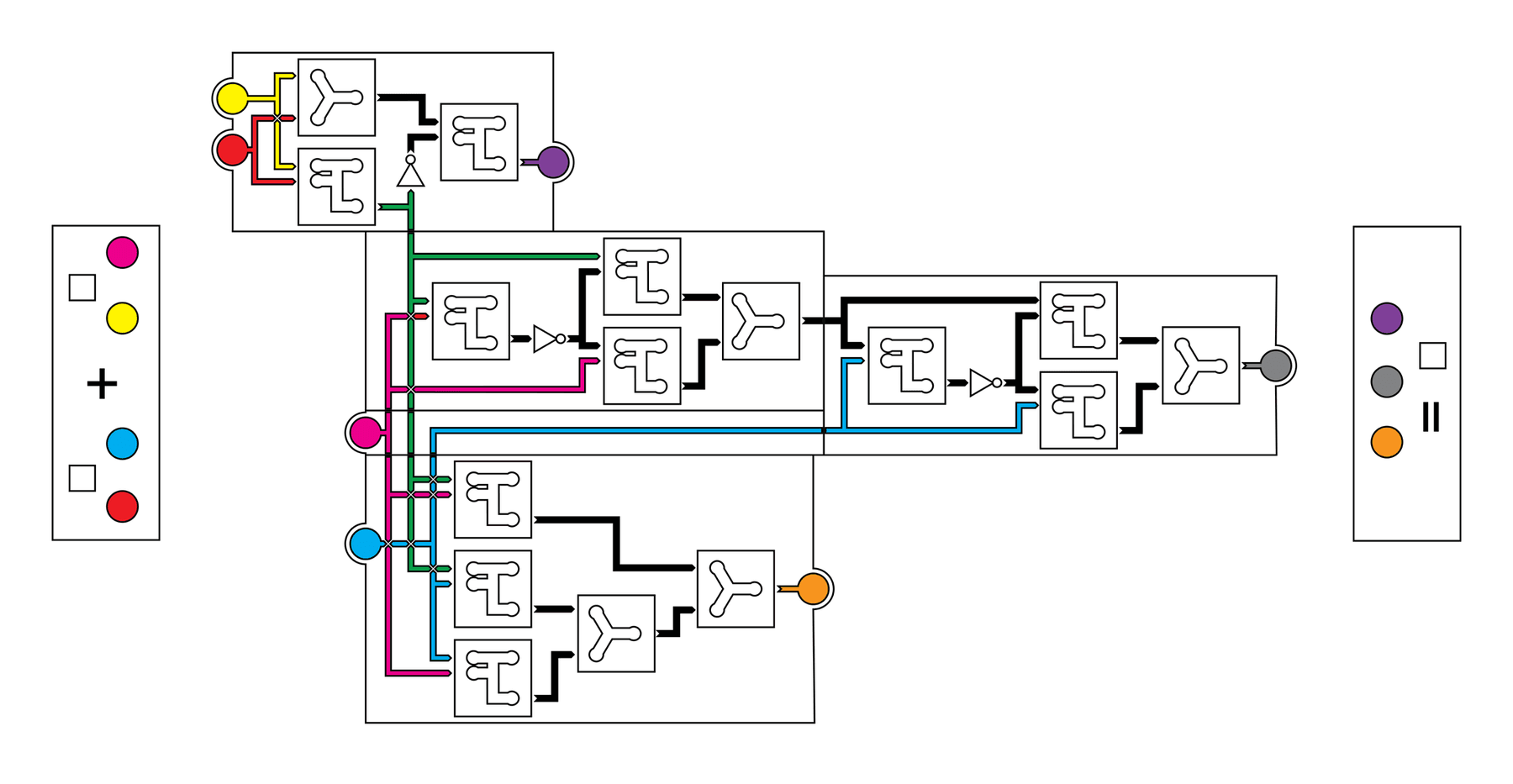 A schematic for a slime mould adding machine.