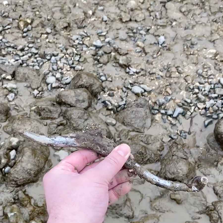 A hand holding a small metal object which is covered in mud.