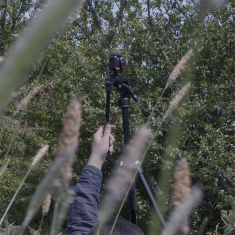 Filming Maple Farm using a 360° camera