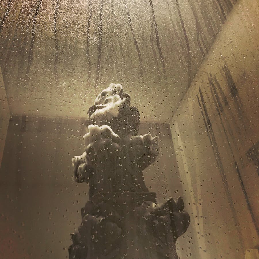 The top of gothic pinnacle, which is covered in mycellium, seen through fogged-up perspex.